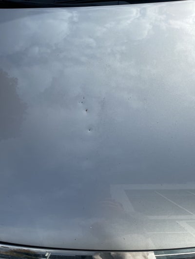 2007 Toyota Avalon XL