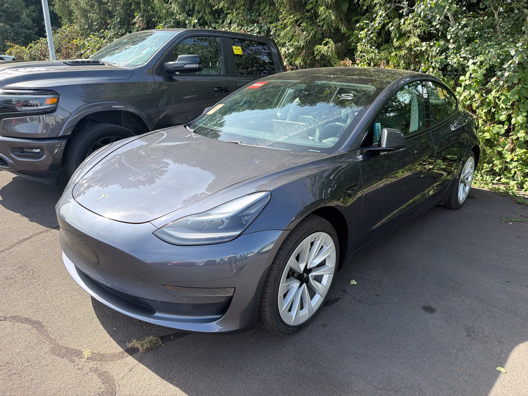 2021 Tesla Model 3 Standard Range Plus