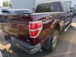 2010 Ford F-150 Base